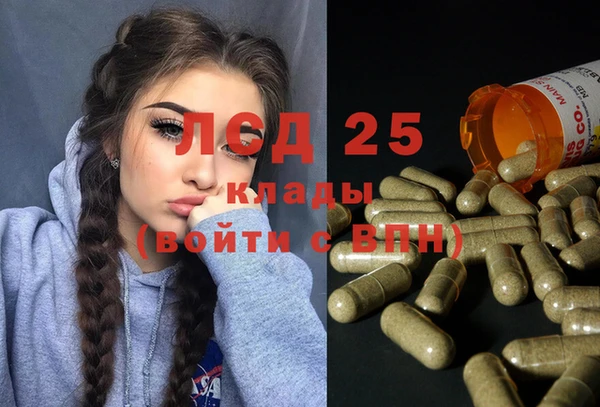 ПСИЛОЦИБИНОВЫЕ ГРИБЫ Верея