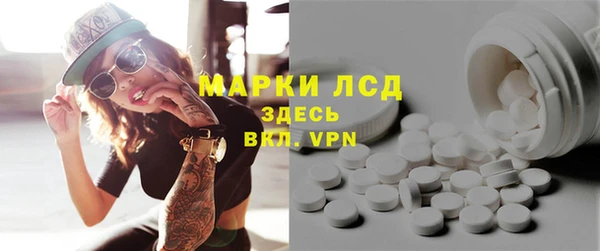 прущие грибы Чегем